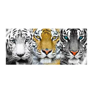 Free Samples Lion design 3d pictures of Animal 3d Lenticular Picture