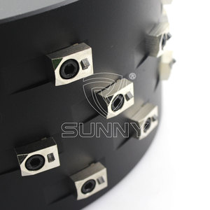 300Mm Met Hoge Hardheid Pcd Diamant Schuurschijf Aanpasbare <span class=keywords><strong>Bush</strong></span> Hamer Krasrol Voor Stenen Applicatie Oem Ondersteund 1Pc - Product Image 5