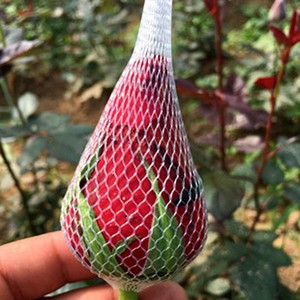 Lưới Bảo Vệ Nụ Hoa Hồng Bằng Nhựa - Product Image 2