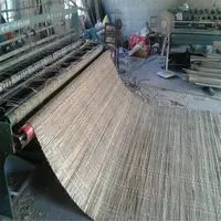 Yeşil bambu mat İsrail için Sukkot