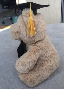 Thiết Kế Mới Tốt Nghiệp Teddy Bear Khung Ảnh Thời Trang Quà Lưu Niệm Tùy Chỉnh Phim Hoạt Hình Trẻ Em Mềm Plush Teddy Bear Khung Ảnh - Product Image 6