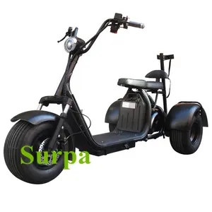 1000w 60v 12ah/ 20ah citycoco 2 removable portable battery fat tire 3 wheel citycoco electric scooter/electric tricycle