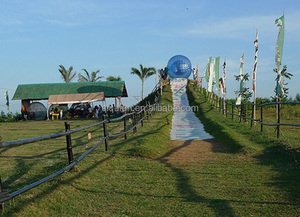 <span class=keywords><strong>2016</strong></span> Pazzo gigante umano criceto palla zorbing <span class=keywords><strong>sfera</strong></span> dell'acqua, corpo <span class=keywords><strong>sfera</strong></span> dello zorb - Product Image 4