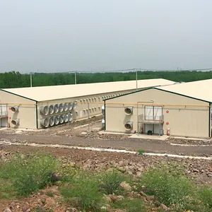 Pakistan Koop Controle Schuur Pluimveehouderij Kip Farm Building Kosten