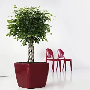 小さなミドルビッグサイズの正方形のプラスチック植木鉢 & 植木鉢自己散水オフィスデスクトップルームフロア & ガーデンポット