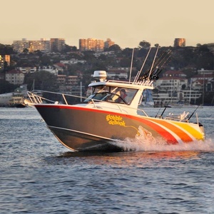 Bateaux <span class=keywords><strong>de</strong></span> pêche en aluminium Gospel 6.85m Cuddy Cabin - Product Image 2