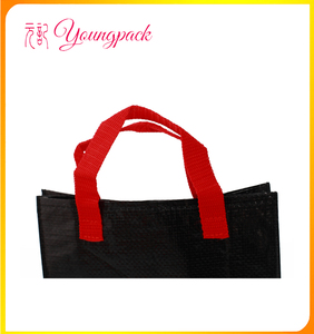 Precio <span class=keywords><strong>de</strong></span> fábrica <span class=keywords><strong>de</strong></span> Alta Calidad PP Bolso <span class=keywords><strong>de</strong></span> <span class=keywords><strong>Compras</strong></span> Tejido Para <span class=keywords><strong>Ir</strong></span> <span class=keywords><strong>de</strong></span> <span class=keywords><strong>Compras</strong></span> - Product Image 6