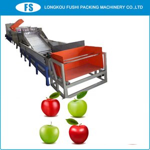 FUSHI entièrement automatique fruits légumes tri machine de sélection - Product Image 4