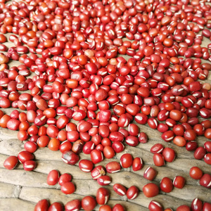 Small Red <strong>Beans</strong> Adzuki <strong>Beans</strong> Wholesale - Product Image 6