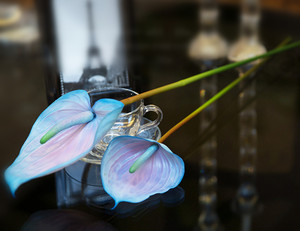 <span class=keywords><strong>Fiori</strong></span> <span class=keywords><strong>e</strong></span> <span class=keywords><strong>Piante</strong></span> di Anthurium <span class=keywords><strong>Piante</strong></span> di Anthurium in <span class=keywords><strong>Vendita</strong></span> - Product Image 4