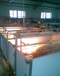Pvc Broedmachine Voor Biggen Warming Dozen In Dubbele Kraamhok