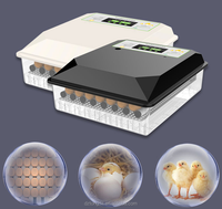 Incubadora de Huevos de Gallina, Nuevo Modelo Totalmente Automático, Capacidad para 64 Huevos de Gallina