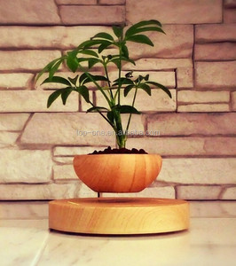 Fábrica de la venta directa de levitación flotando en el aire <span class=keywords><strong>bonsai</strong></span> para la decoración de interior - Product Image 5