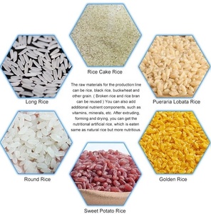 Estrusore a Doppia Vite <span class=keywords><strong>TSE</strong></span> 70 2023, Macchina per la Produzione di Riso Artificiale 100-150 kg, Linee di Lavorazione per Semi e Cereali - Product Image 1