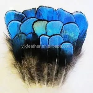 Plumas de faisán amherst para mujer, pluma azul, decoración de joyería, a la venta