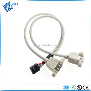 Motherboard zu 2 USB Female 9 Pin Header Female zu Dual USB A Splitter kabel - Product Image 2