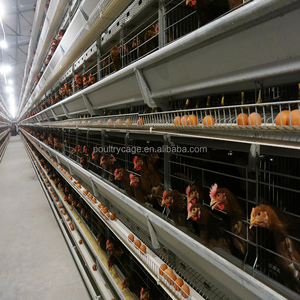 uygun fiyatli ikinci el katmanli tavuk kafesleri satin alin local after sales service alibaba com