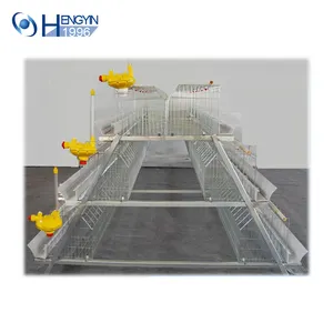 High standard chicken cage for poultry farm/chicken layer cage with automatic egg collection machine