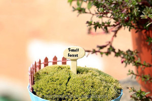 Casa decorationMoss micro ornamenti paesaggio Foresta di orientamento di montaggio FAI DA TE giocattoli manufatti per l'arredamento - Product Image 5