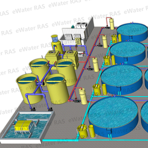 Trong Nhà Ras Tôm Farming Thiết Bị, Nuôi Trồng Thủy Sản Ras Hệ Thống, Tuần Hoàn Nuôi Trồng Thủy Sản Hệ Thống Thiết Kế Ras Cá Farming Thiết Bị - Product Image 4