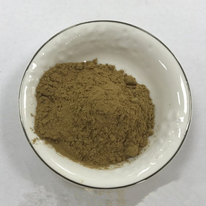 Extracto de Andrographis <span class=keywords><strong>Paniculata</strong></span> 10:1 / Andrographis <span class=keywords><strong>Paniculata</strong></span> / Planta Medicinal de Alta Calidad, Productos Frescos, Gran Stock - Product Image 1