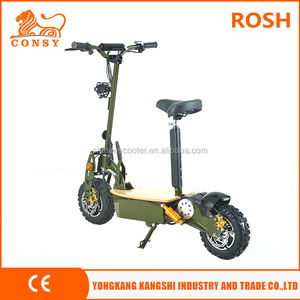 ES-001E 36 v 12ah 1500 W 1600 W 1800 W ce rohs motor de cubo bicicleta eléctrica de <span class=keywords><strong>2</strong></span> ruedas scooter adultos - Product Image 3