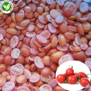 IQF Frozen Bulk Organic Red Tiny Miniature Cherry Tomatoes Half Cherrytomatoes Dice Sliced Diced Cubes Cuts Freeze Freezing