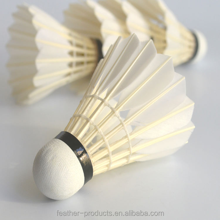 Victor Master Ace Shuttlecock - White Goose Feather 77 Speed