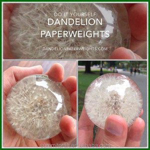 Özel şekil gerçek karahindiba küre şeffaf reçine döküm <span class=keywords><strong>paperweight</strong></span> - Product Image 3