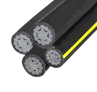 Câble Aérien Torsadé ABC 1kV Isolant PVC/XLPE/PE pour Ligne de Transmission Électrique Aérienne