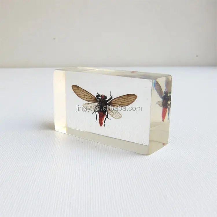Custom gift pmma plexiglass acrylic bee resin block embedment crystal paperweight animal specimen paperweight with insect