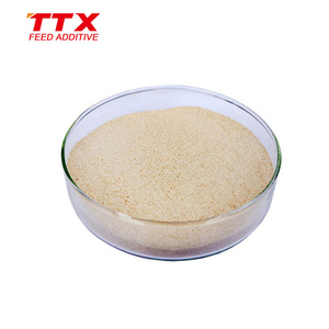 Enzyme Thương Mại Protease - Product Image 2