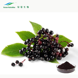 Mẫu miễn phí <span class=keywords><strong>Sambucus</strong></span> <span class=keywords><strong>Nigra</strong></span> Chiết Xuất Anthocyanins Bột 5% 10% bằng HPLC - Product Image 1