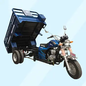 heavy truck 3 wheel cargo tricycle 150cc farming tricycle / gas powered three wheel scooter on sale