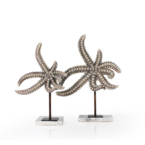 卸売アクリルベース樹脂製サメの歯化石彫刻装飾品 - Product Image 4