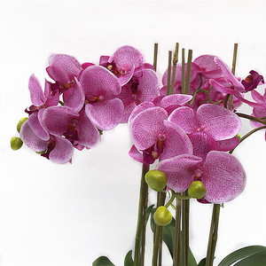 Nuovo vero tocco Phalaenopsis orchidea Bonsai orchidea artificiale con vaso vero tocco fiori vaso orchidea <span class=keywords><strong>per</strong></span> la decorazione - Product Image 3