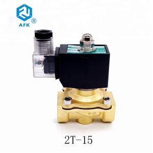 1/2 Zoll Messing CO2 Stickstoff Gas Magnetventil DC 24V mit Vorsteuer struktur - Product Image 5