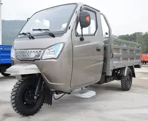 Carga Triciclo 1000cc רכב מנוע תלת אופן מטען מיני משאית