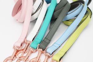 <span class=keywords><strong>Collar</strong></span> de Perro Grande de Piel Dorada - Product Image 5