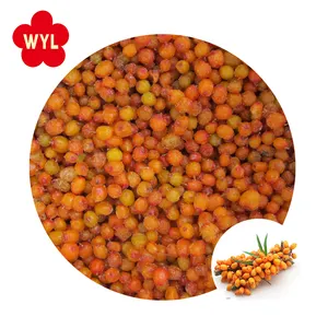 Buy A grade fresh frozen sea buckthorn berries for Horeca