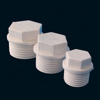 Bouchon fileté en plastique ppr raccord de tuyau