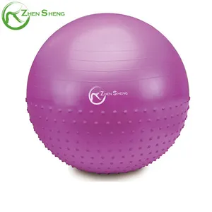 <span class=keywords><strong>Ballon</strong></span> <span class=keywords><strong>de</strong></span> yoga anti-éclatement Zhensheng, <span class=keywords><strong>ballon</strong></span> <span class=keywords><strong>de</strong></span> gym imprimé, <span class=keywords><strong>ballon</strong></span> <span class=keywords><strong>de</strong></span> pilates, <span class=keywords><strong>ballon</strong></span> <span class=keywords><strong>de</strong></span> <span class=keywords><strong>gymnastique</strong></span> - Product Image 5