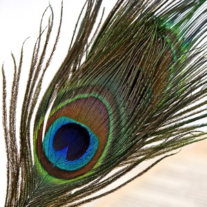 Pronto per la spedizione Retro Caratteristica Quill Dip Penna <span class=keywords><strong>Set</strong></span> Penna Cooper Pennino Calligrafia Scrittura Della Penna del Regalo <span class=keywords><strong>Set</strong></span> con il Basamento - Product Image 5