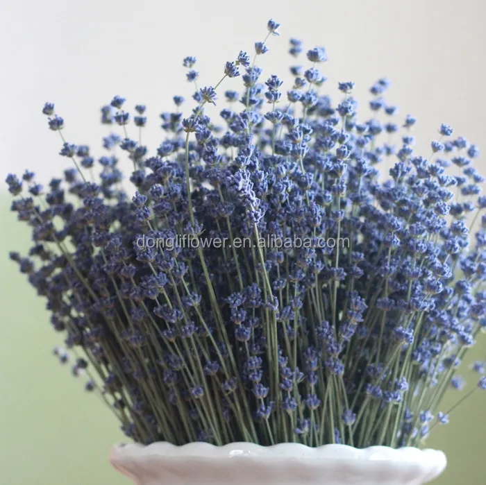 Natural Dried sky deep blue purple 2017 Lavender Flower 35cm