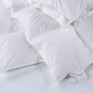 Juego <span class=keywords><strong>de</strong></span> Edredón <span class=keywords><strong>de</strong></span> Microfibra Blanca <span class=keywords><strong>de</strong></span> Lujo, Tamaño Queen, para Invierno, con Sábanas y Funda <span class=keywords><strong>de</strong></span> Edredón <span class=keywords><strong>de</strong></span> Algodón - Product Image 2