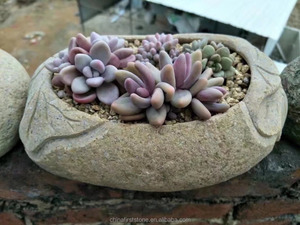 <span class=keywords><strong>Pot</strong></span> <span class=keywords><strong>de</strong></span> fleurs en pierre <span class=keywords><strong>de</strong></span> rivière <span class=keywords><strong>de</strong></span> nouvelle conception chinoise pour la décoration intérieure, <span class=keywords><strong>pot</strong></span> <span class=keywords><strong>de</strong></span> fleurs miniature pour jardin extérieur - Product Image 2
