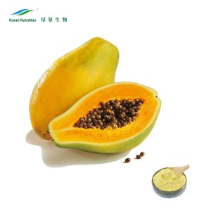 Poudre <span class=keywords><strong>de</strong></span> fruit <span class=keywords><strong>de</strong></span> <span class=keywords><strong>papaye</strong></span> d'extrait d'usine <span class=keywords><strong>de</strong></span> nourriture, poudre <span class=keywords><strong>de</strong></span> graine <span class=keywords><strong>de</strong></span> <span class=keywords><strong>papaye</strong></span>, poudre <span class=keywords><strong>de</strong></span> feuille <span class=keywords><strong>de</strong></span> <span class=keywords><strong>papaye</strong></span> pour la santé - Product Image 3