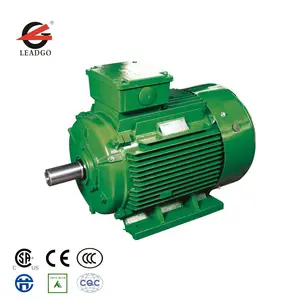 Elektrikli Motor 37KW Küçük AC Indüksiyon Motoru