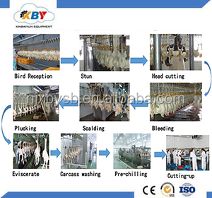 Matadero equipo pollo escaldado máquina de aves de corral escaldador para la venta - Product Image 4