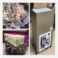 Machine à Sucer Congelée JUYOU à Bas Prix et Haute Efficacité à Vendre / Meilleure Machine à Glaçons et Sorbets Hommy pour l'Afrique du Sud